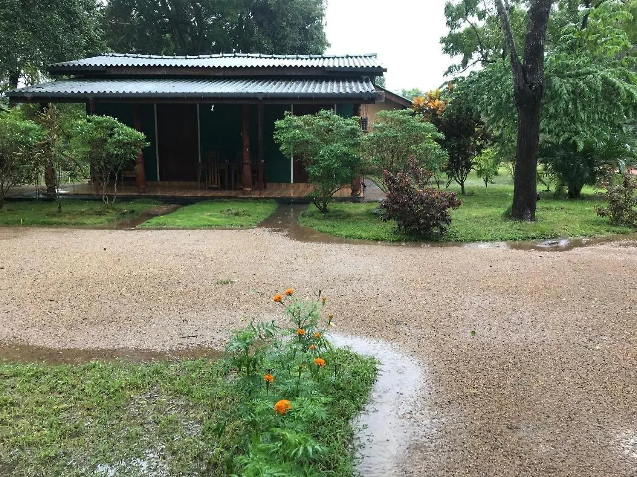 Greenwood Hotel Sigiriya Sri Lanka