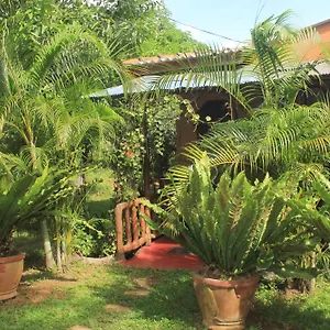  Guest house Nature View